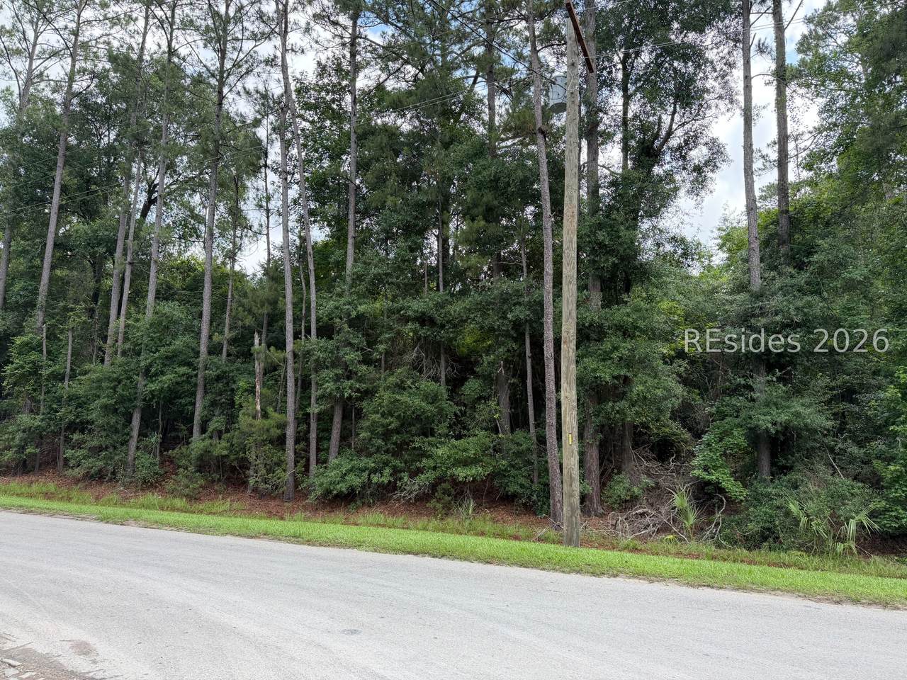 tbd Lowcountry Dr - Photo 1