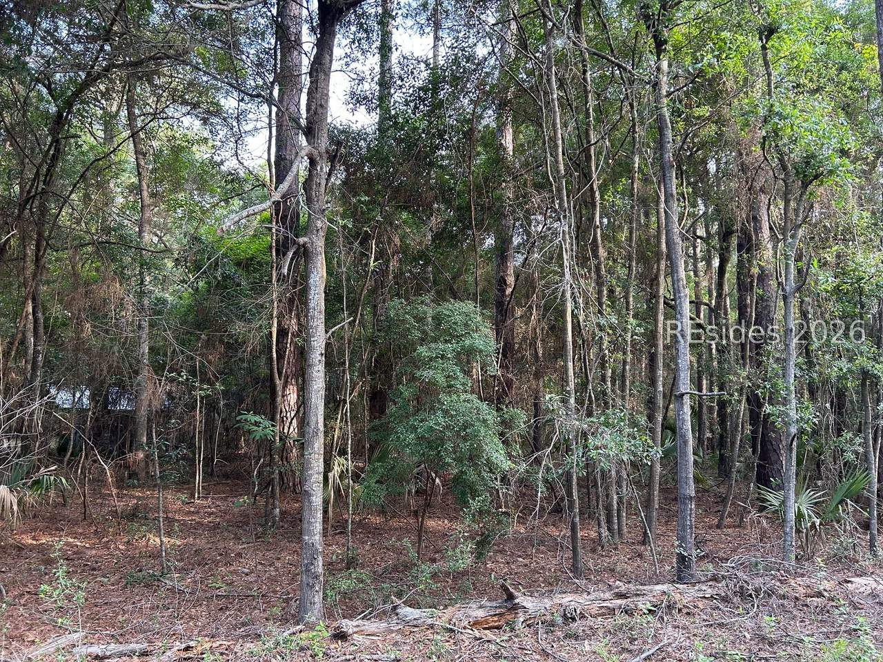 214 Benjies Point Road - Photo 1