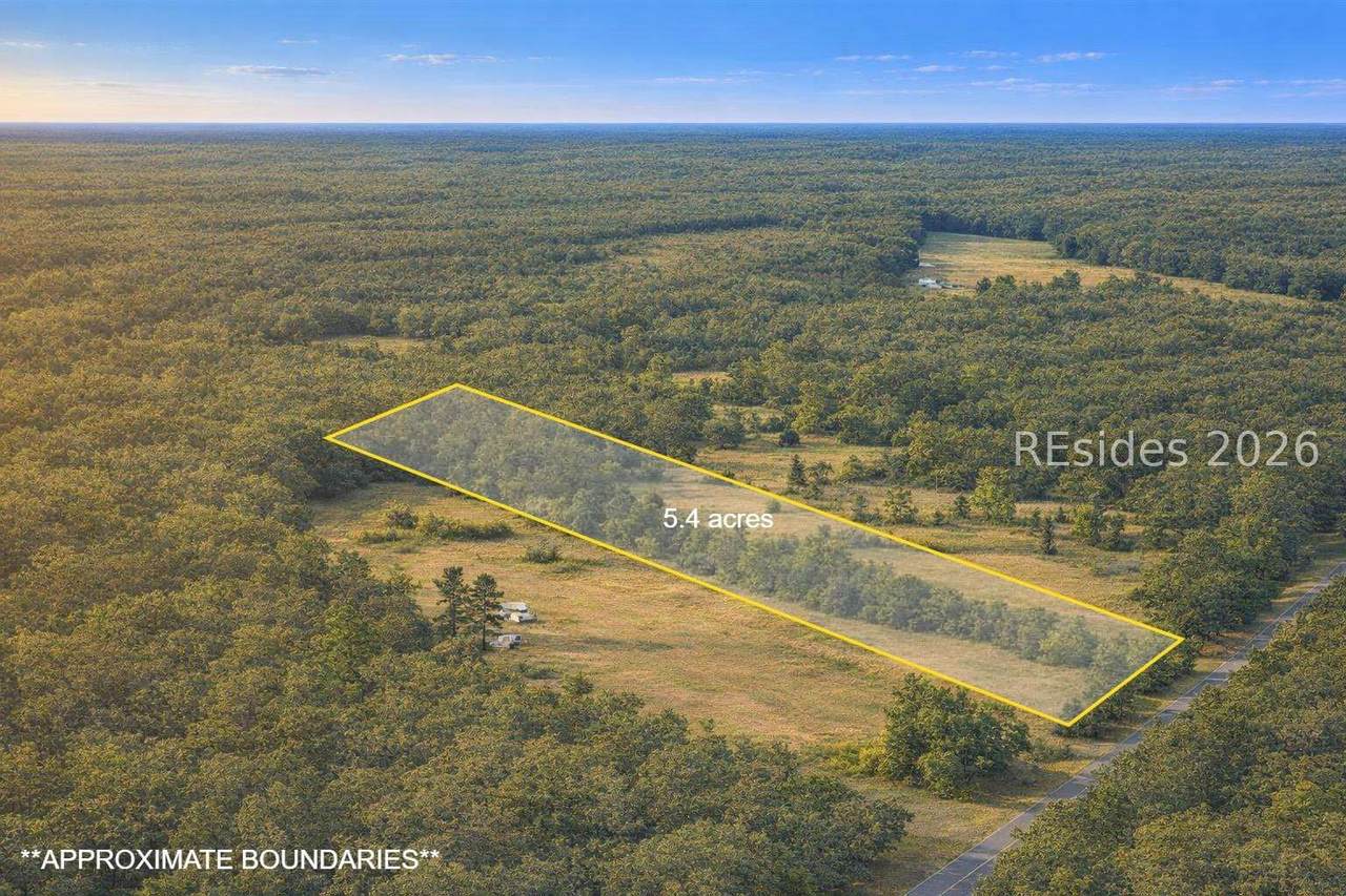 0 Calf Pen Bay Road - Photo 1