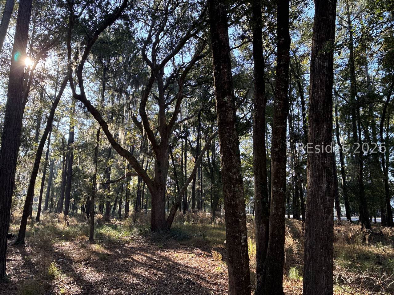 6008 Green Pond Drive - Photo 1