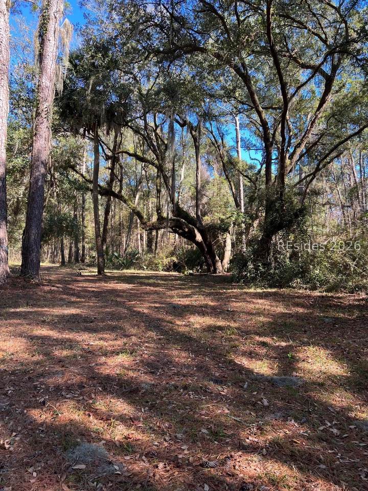 17 Little Neck - Photo 1