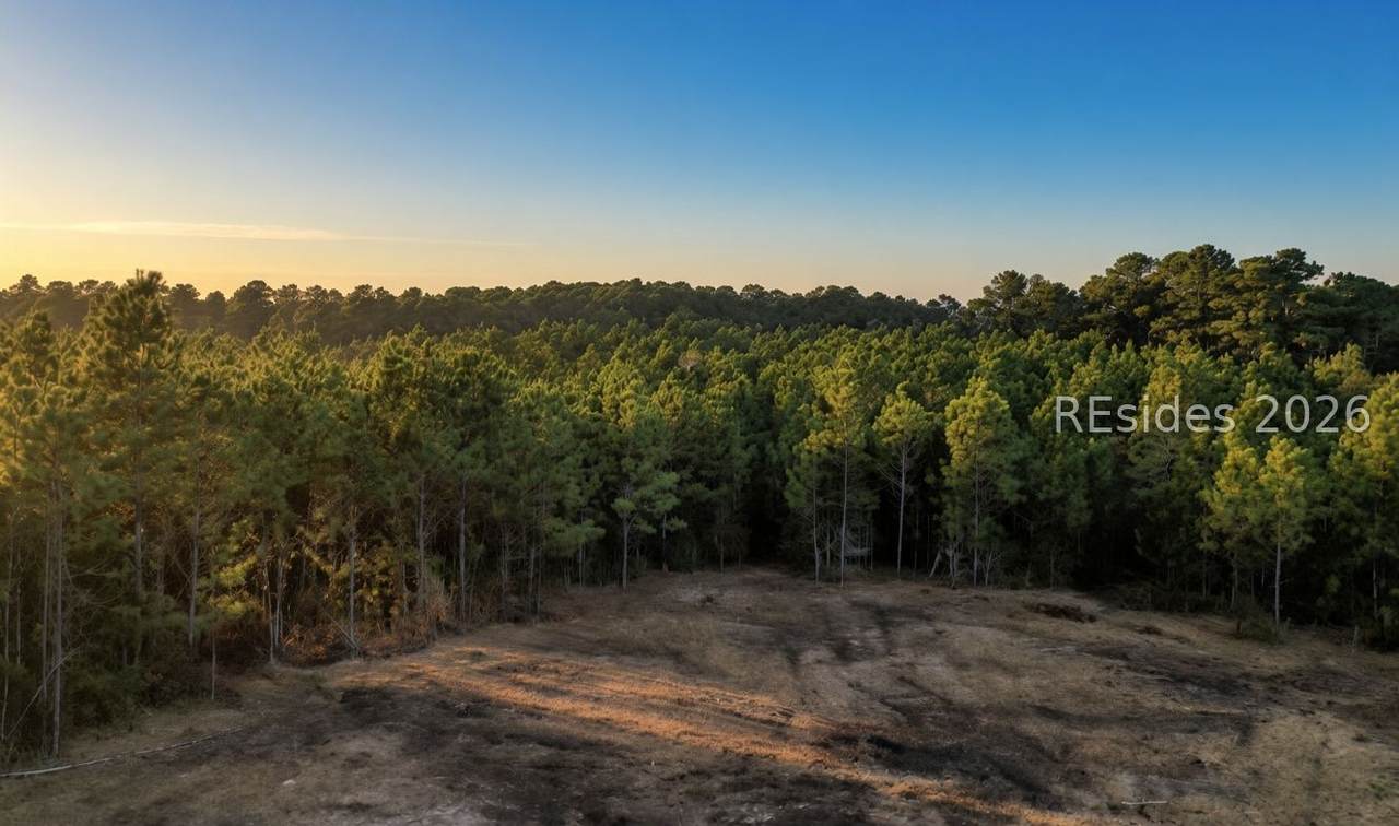 505 Sisters Ferry Road - Photo 1