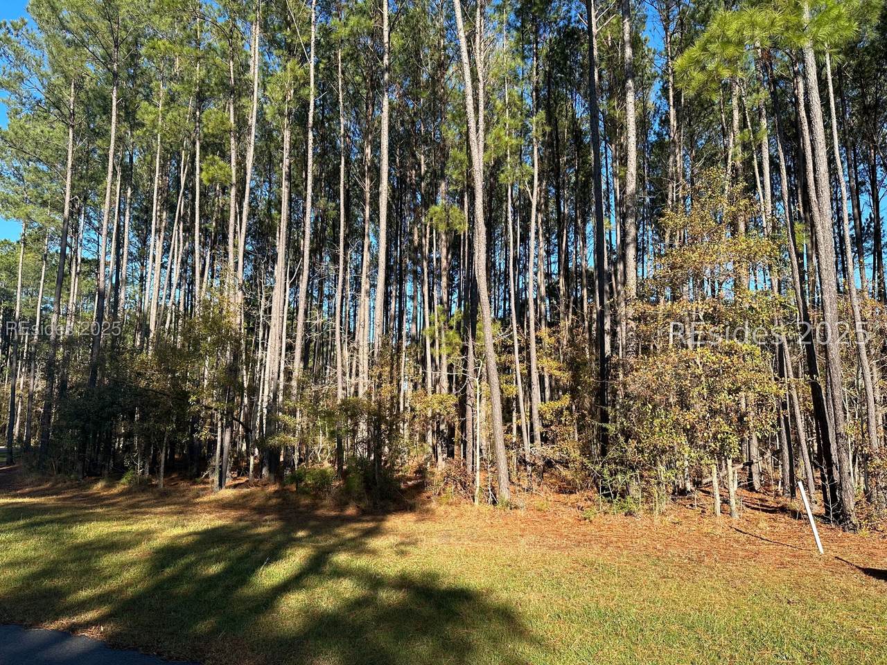 803 Somerset Drive - Photo 1