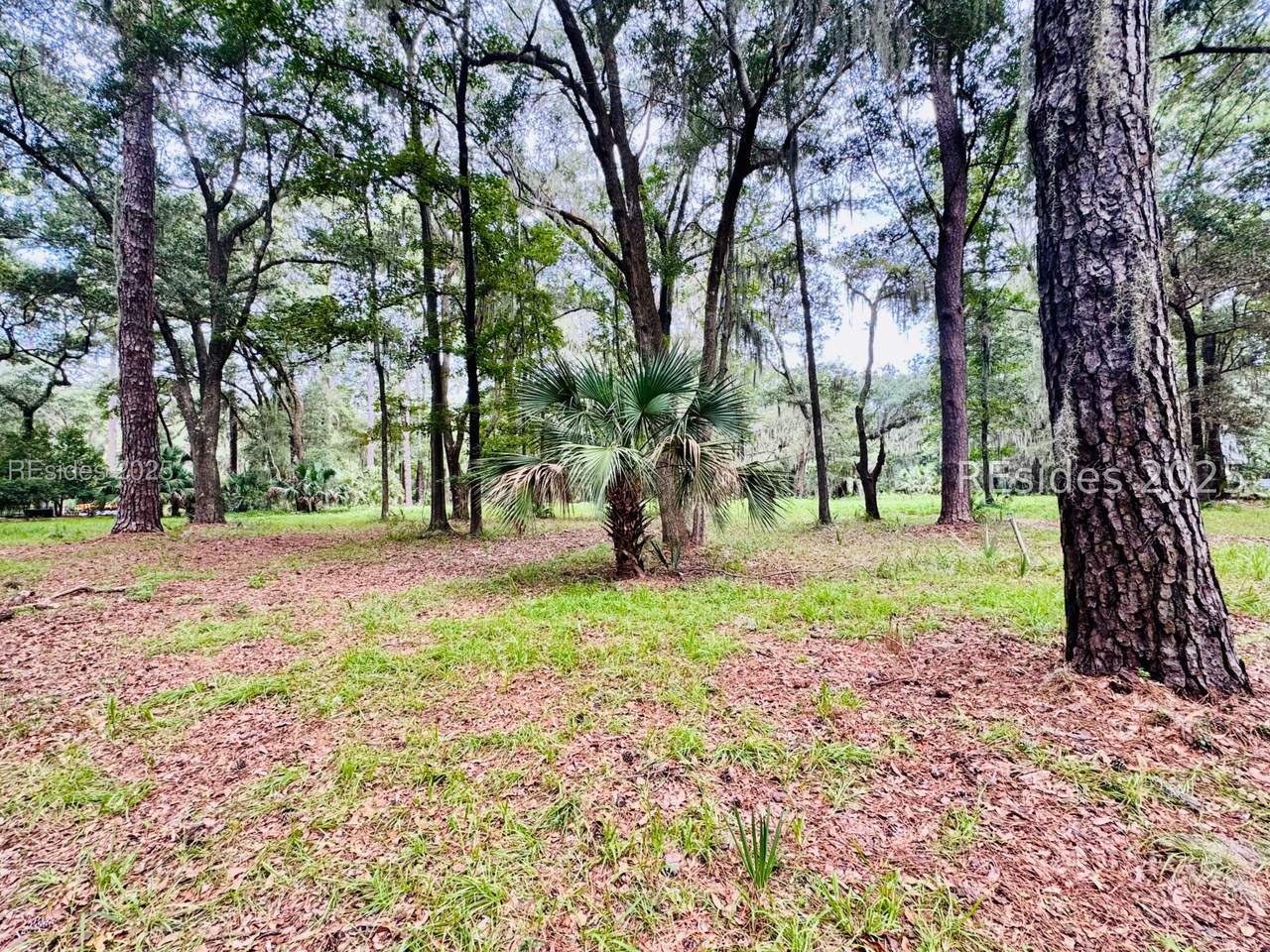 1113 Haig Point Road - Photo 1