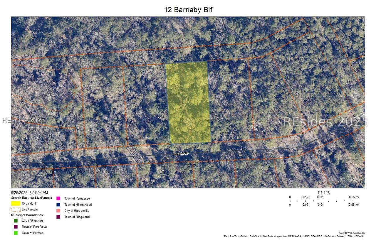 12 Barnaby Bluff - Photo 1