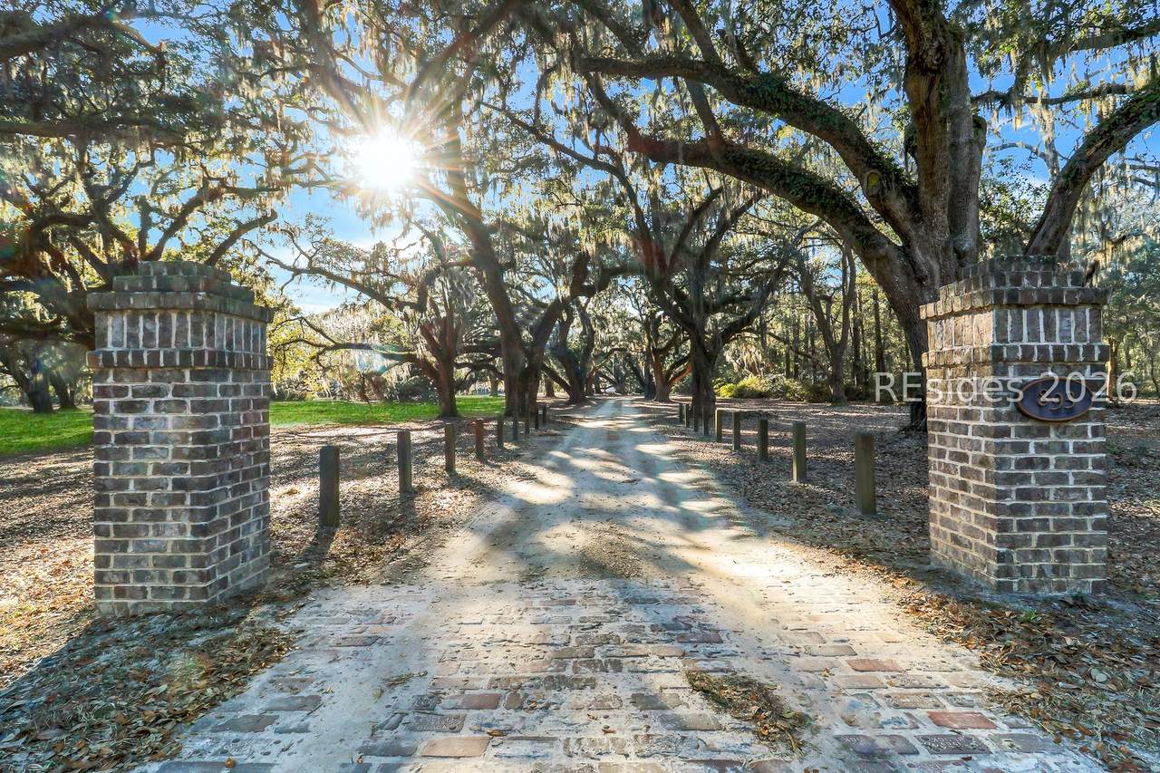 893 Grays Highway - Photo 1