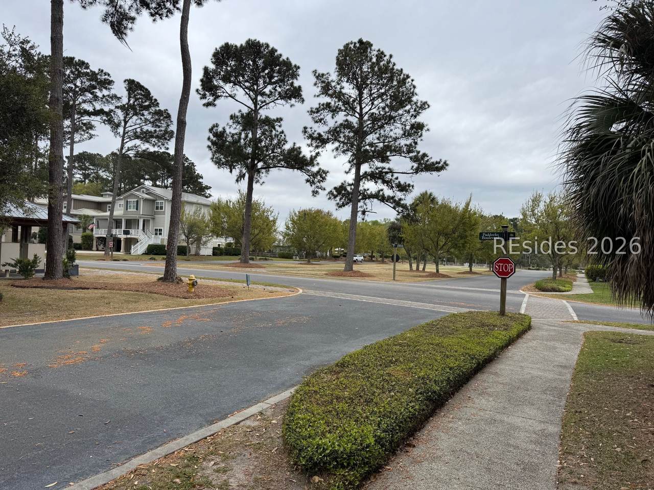 24 Welsh Pony Lane - Photo 1
