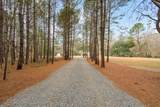 164 Paige Point Bluff - Photo 6