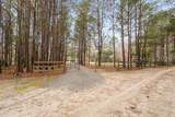 164 Paige Point Bluff - Photo 8