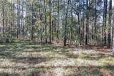31 Rose Dhu Creek Plantation Drive - Photo 1