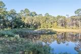 88 Lupine Road - Photo 32