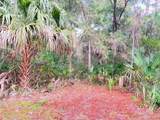 10 Ocean Marsh Court - Photo 1