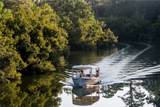 26 Spiderlily Street - Photo 4