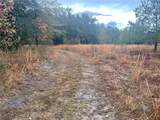  Burnt Pine Rd Road - Photo 3