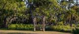 708 Seahorse Road - Photo 74