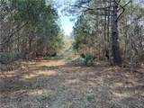TBD Dressen Road - Photo 8