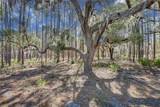 72 Lupine Road - Photo 5