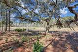 72 Lupine Road - Photo 6