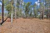 72 Lupine Road - Photo 9