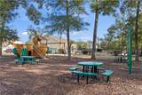 47 Sago Palm Drive - Photo 44