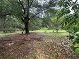 239 Little Capers Road - Photo 4