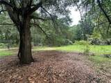 239 Little Capers Road - Photo 5