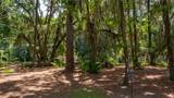 10 Marsh Lake Ln - Photo 69