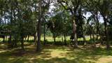 135 Ave Of Oaks - Photo 66