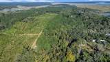 Parcel AA Knowles Island Rd - Photo 1