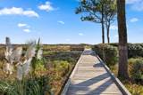 31 Forest Beach Drive - Photo 49
