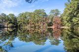 31 Chesterfield Lake Drive - Photo 34