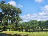 191 Chicora Lane - Photo 62
