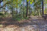 3 Spartina Crest - Photo 12