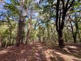 000 Lowcountry Drive - Photo 12