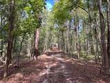 000 Lowcountry Drive - Photo 13