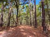 000 Lowcountry Drive - Photo 19