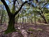 000 Lowcountry Drive - Photo 2