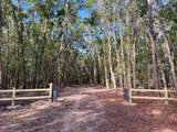 000 Lowcountry Drive - Photo 3