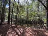 000 Lowcountry Drive - Photo 47