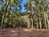 000 Lowcountry Drive - Photo 58
