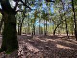 000 Lowcountry Drive - Photo 8