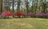 59 Francis Marion Circle - Photo 54