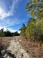 0 Spring Field Plantation Dr - Photo 4