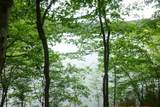 lot 17 block 40 Waters Edge Drive - Photo 2
