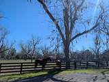 272 Moss Creek Drive - Photo 58