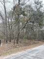 204 Palmetto Bluff Road - Photo 3