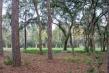 56 Blue Willow Street - Photo 44