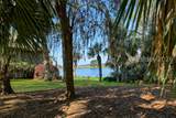 2 Fiddler Crab Court - Photo 49