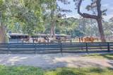 46 Hearthwood Drive - Photo 67