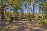 13 Mcintosh Road - Photo 84